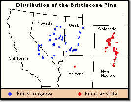 Bristlecone Pine Distribution Map